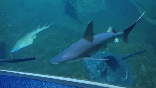 Vánoční trhy - Wroclaw