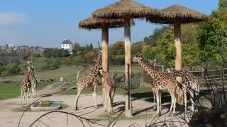 Zoo Praha