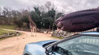 Elektromobilem kolem světa: Jedem do Afriky, jedeme do Zimbabwe aneb africké safari na vlastní kůži