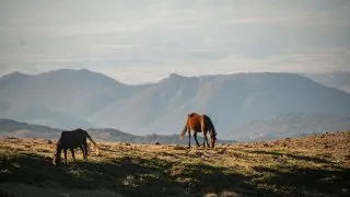 Dacia Bigster, trip Itálie, Bruncu Spina