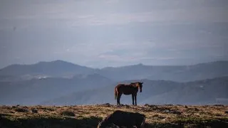 Dacia Bigster, trip Itálie, Bruncu Spina