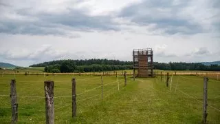 Škoda 130 let, Radostín a další RZ Bohemia Rally