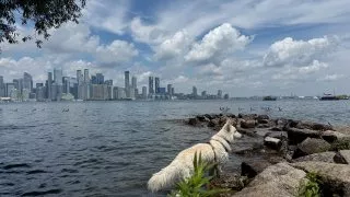 Fotr na tripu 10, Toronto Islands