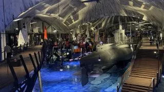 Fotr na tripu 9, Tallin