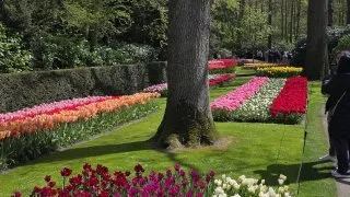 Keukenhof