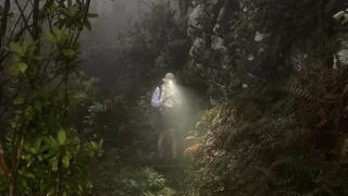 Madeira: Pěšky skrz prales a po kluzkých kamenech až do výšin ostrova věčného jara, kde pořád pršelo