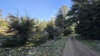 Maroko, okolí Ifrane