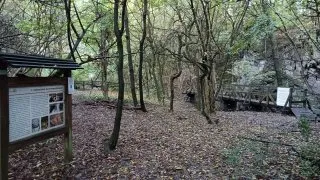 Balaton na gravelu