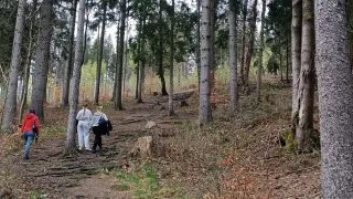Česko, Podkrkonoší