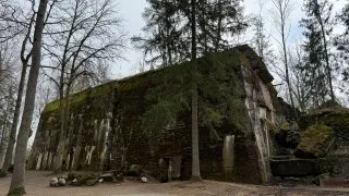 Fotr na tripu 9, Vlčí doupě