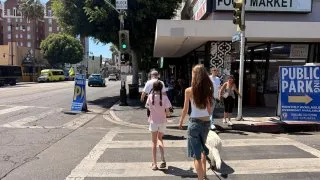 Fotr na tripu 12, Hollywood