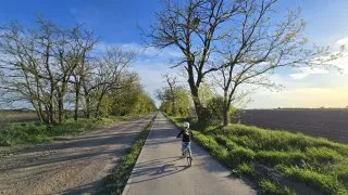 Žitný ostrov, vodní mlýny na kole