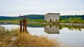 Trip Slovinsko 2026, komunita