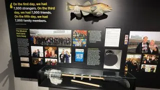 Fotr na tripu 10, Newfoundland