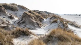 Subaru trip Dánsko, Børsmose Strand