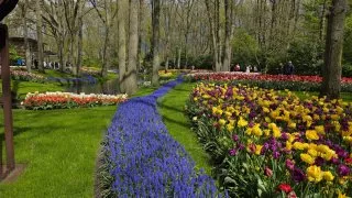 Keukenhof