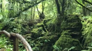 Hikerské dobrodružství v Británii 8