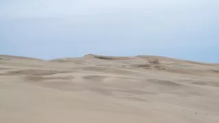 Ford trip, Duna du Pyla