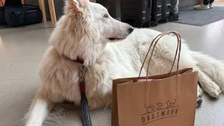 Fotr ve Finsku, gastronomie