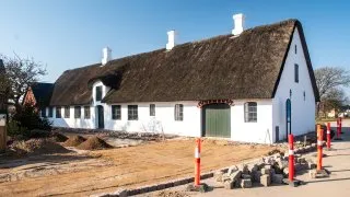 Subaru trip Dánsko, Romo, Mando