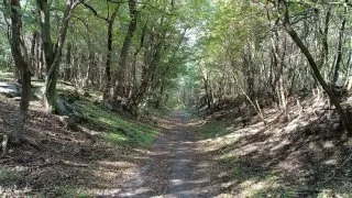 Balaton na gravelu
