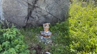 Fotr na tripu 10, Newfoundland