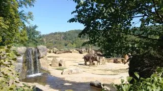 Zoo Praha