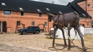 Trip Drawsko, Palác Siemczyno