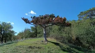 Balaton na gravelu