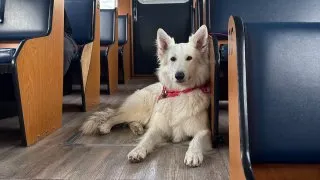 Fotr na tripu 10, Banff