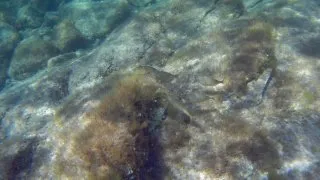 Sardinie 2. díl