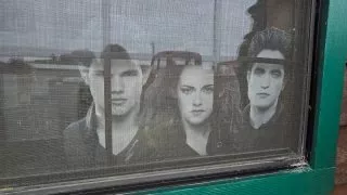Forks, Twilight