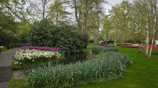 Keukenhof