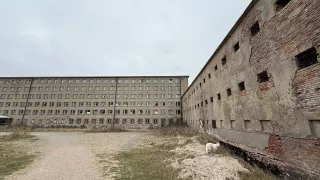 Fotr na tripu 9, Prora