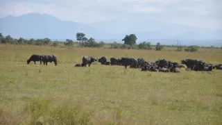 Safari v srdci Afriky