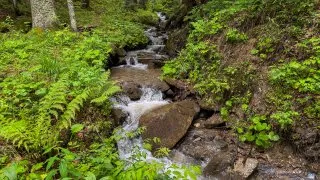Slovinský trip - Solčava
