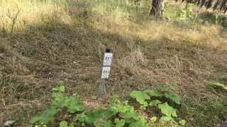 Flaeming inline