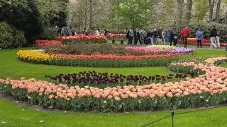 Keukenhof