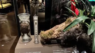 Národní muzeum Praha