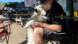 Fotr na tripu 10, kempování v Kanadě