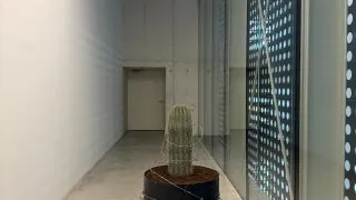 Fotr na tripu 11, Slovinsko