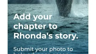 Fotr na tripu 10, velryby