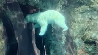 Fotr na tripu 10, itinerář 5