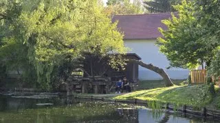 Žitný ostrov, vodní mlýny na kole