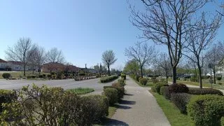 Neusiedler See