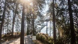 Ford trip, Rheinschlucht