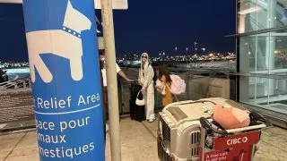 Fotr na tripu 10, návrat