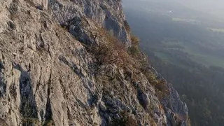 Hohe Wand
