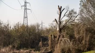 Fiat trip, 125.výročí, jaderná elektrárna Trino