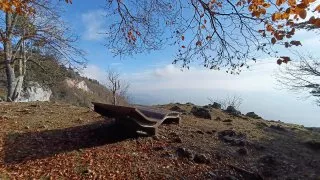 Hohe Wand
